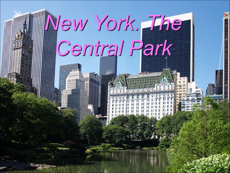 New York. The Central Park